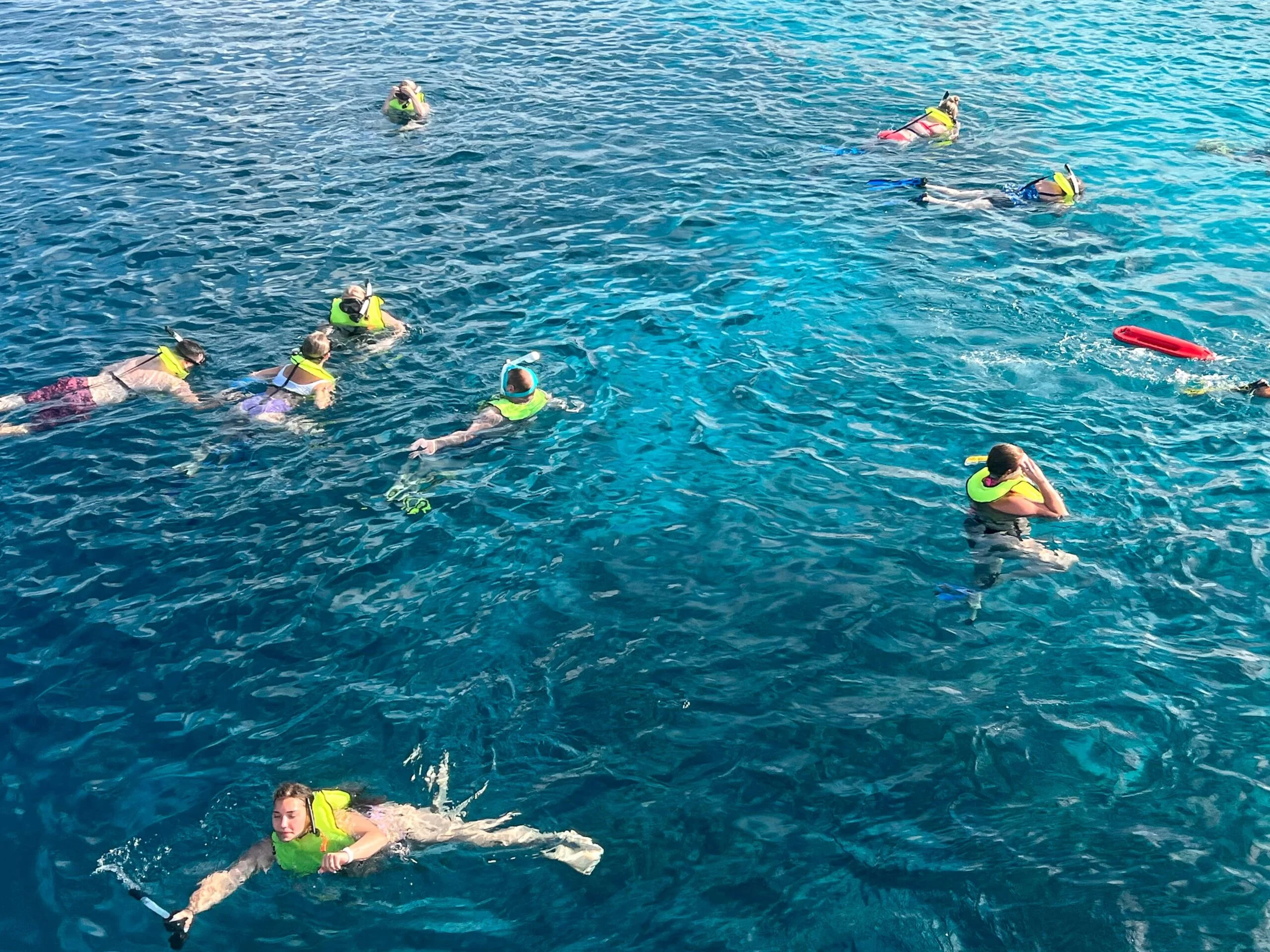Guests snorkelling together from Lady Bellaïs in the crystal waters of Bonaire